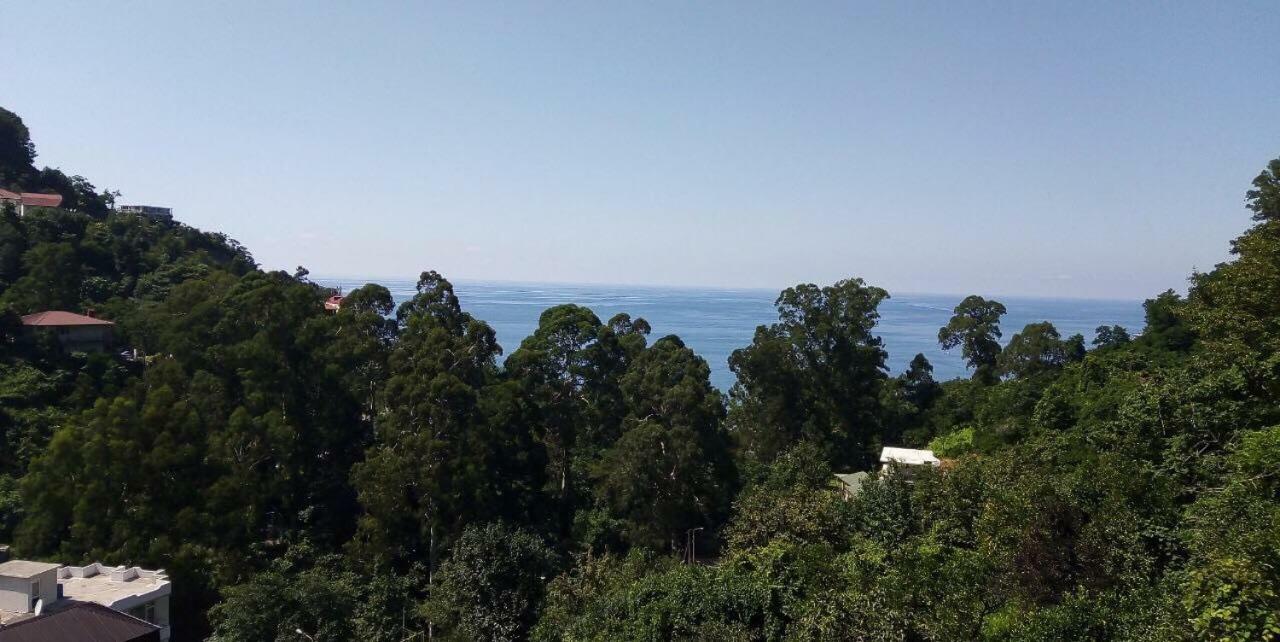 Giorgi Kvariati Ξενοδοχείο Εξωτερικό φωτογραφία